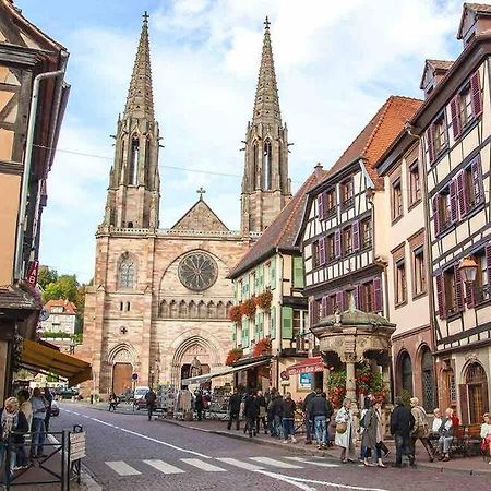 Le Carrousel - Appartement Cosy Centre Obernai Dış mekan fotoğraf