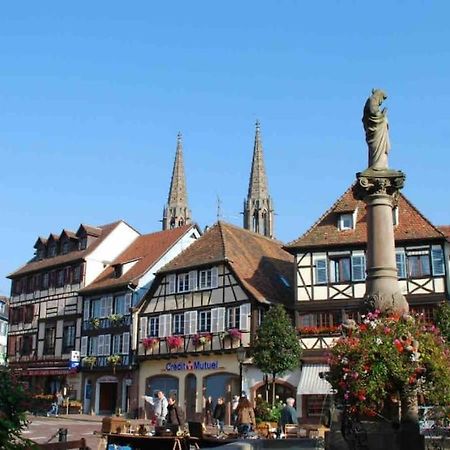 Le Carrousel - Appartement Cosy Centre Obernai Dış mekan fotoğraf