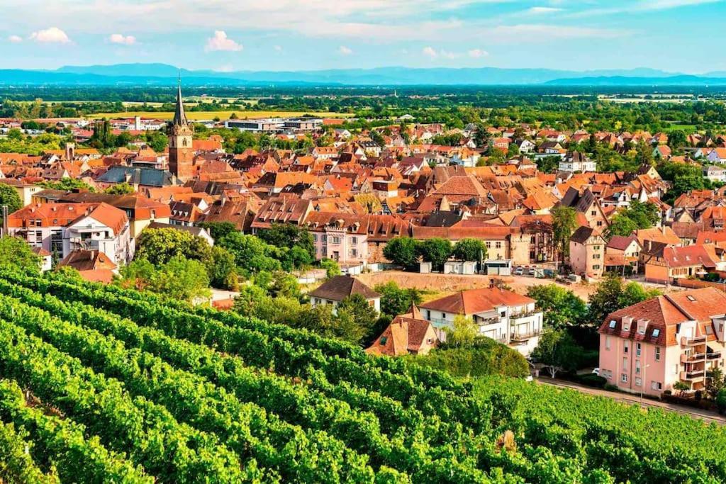 Le Carrousel - Appartement Cosy Centre Obernai Dış mekan fotoğraf