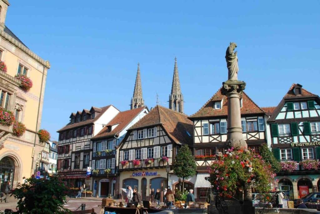 Le Carrousel - Appartement Cosy Centre Obernai Dış mekan fotoğraf