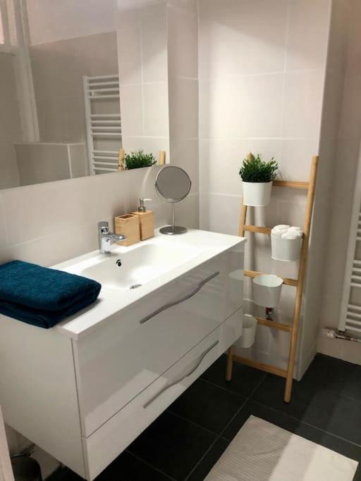 Le Carrousel - Appartement Cosy Centre Obernai Dış mekan fotoğraf